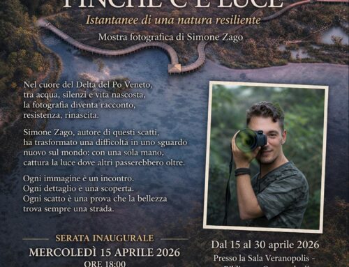 Istantanee di una natura resiliente – Mostra fotografica di Simone Zago